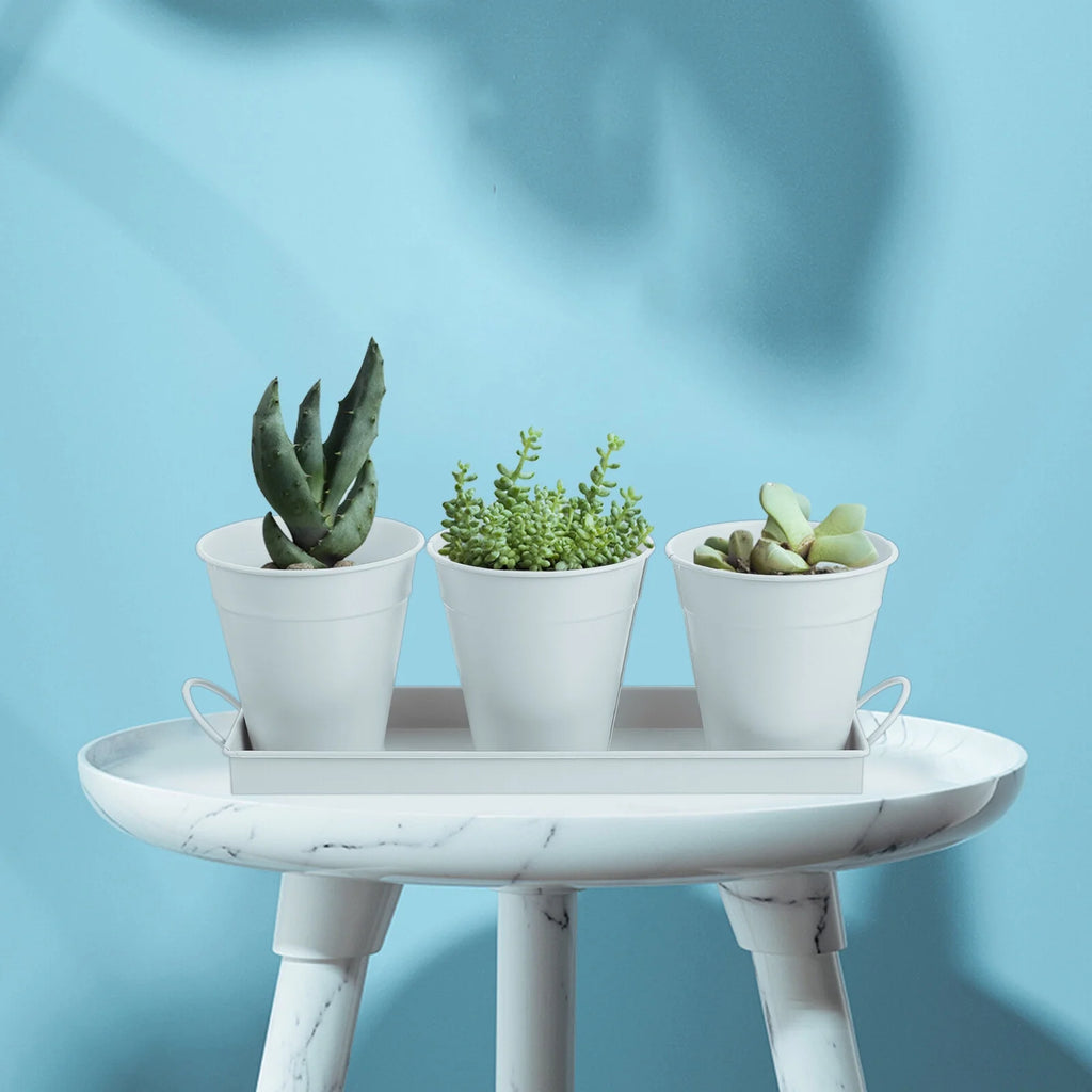 6 pcs Garden Flower Pot with 1pc Tray Y129