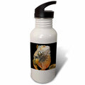 21 oz Sports Water Bottle A51713