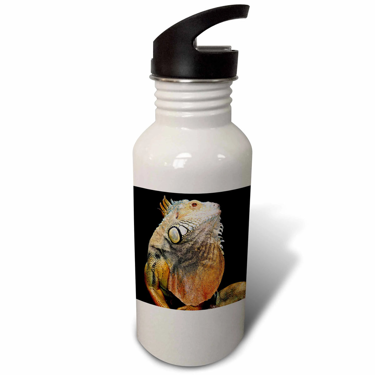 21 oz Sports Water Bottle A51713
