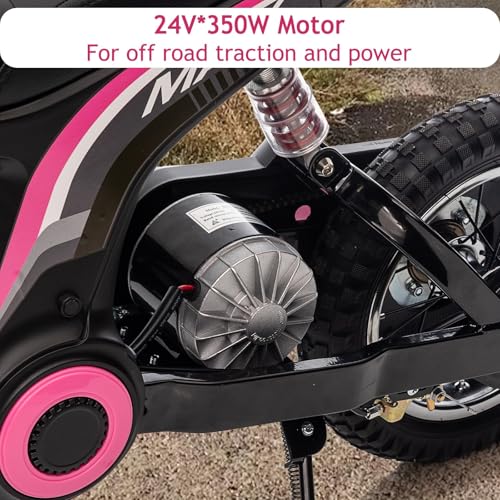 24V 350W Electric Dirt Bike T117