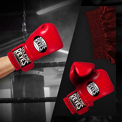 Training Boxing Gloves with Hook and Loop Closure L1980