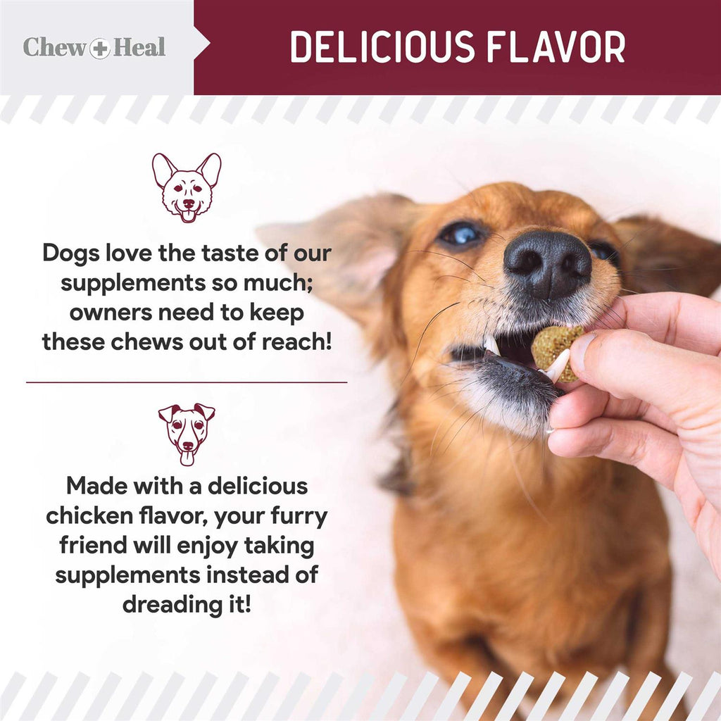 Flea and Tick Prevention for Dogs P605207