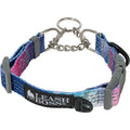 Patterned Reflective Chain Martingale Dog Collar H421999
