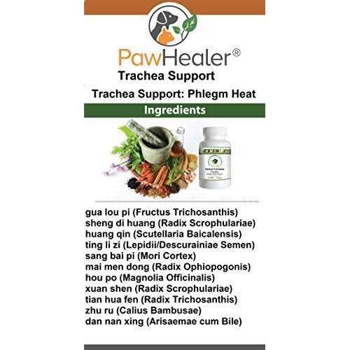 Dog Cough Remedy Z8316