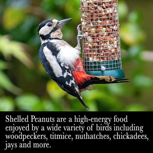 Shelled Peanuts Wild Bird Food 10 Pounds C6282