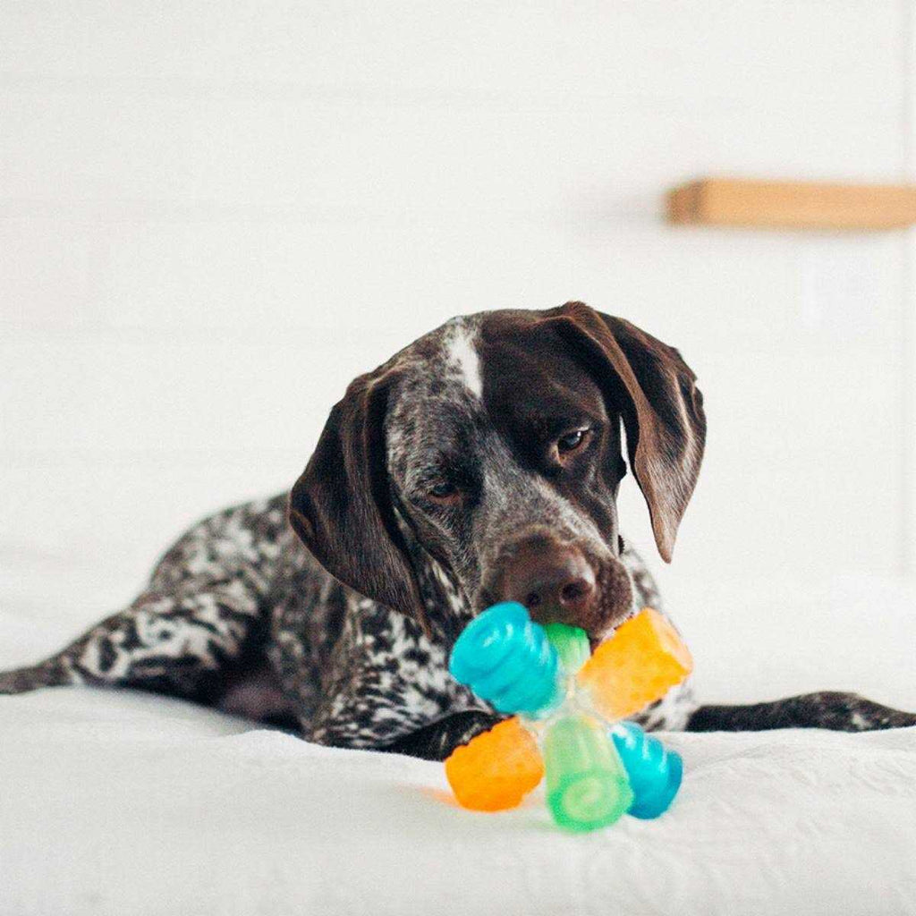 Triple Jack Dog Toy X862