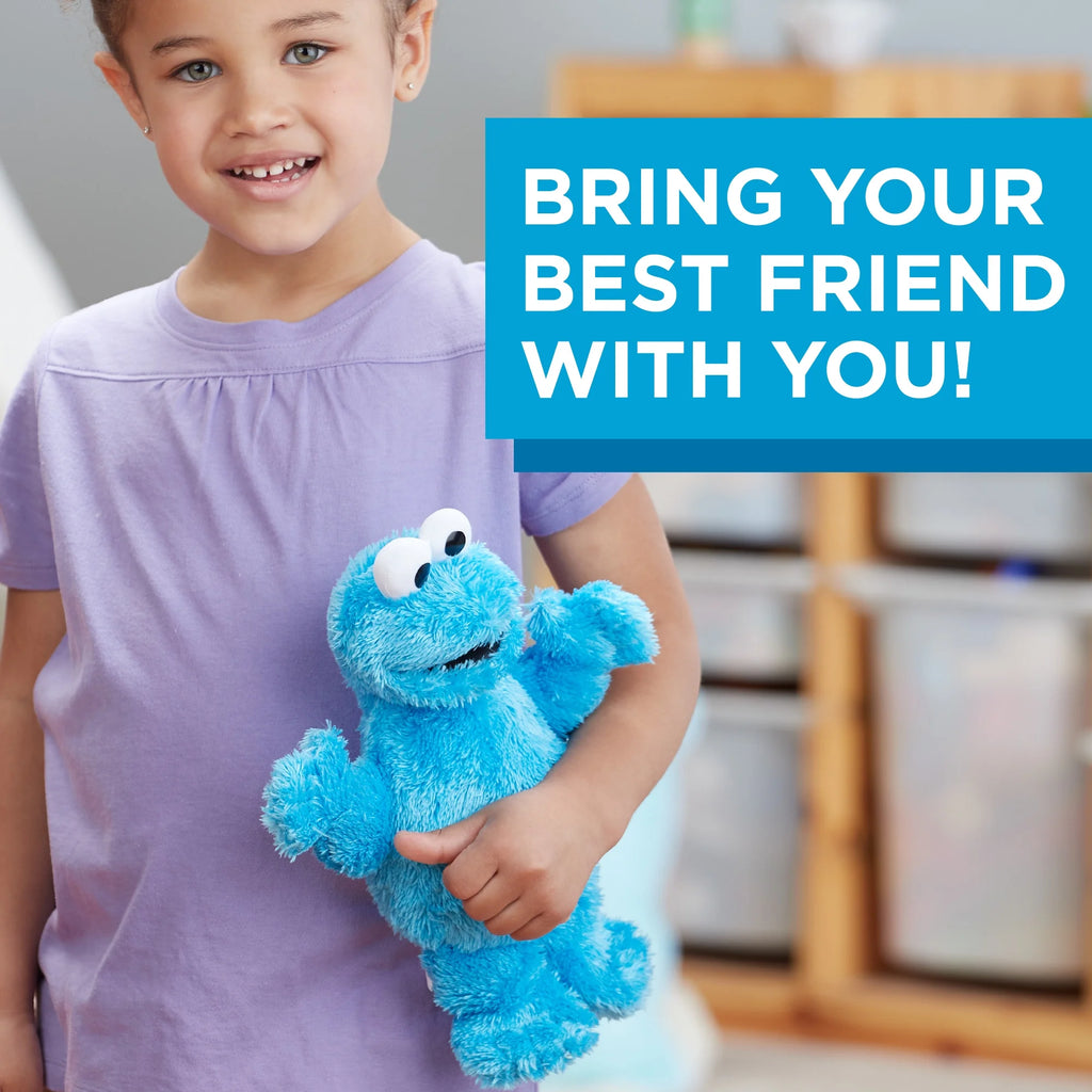 Cookie Monster Mini Plush P9065
