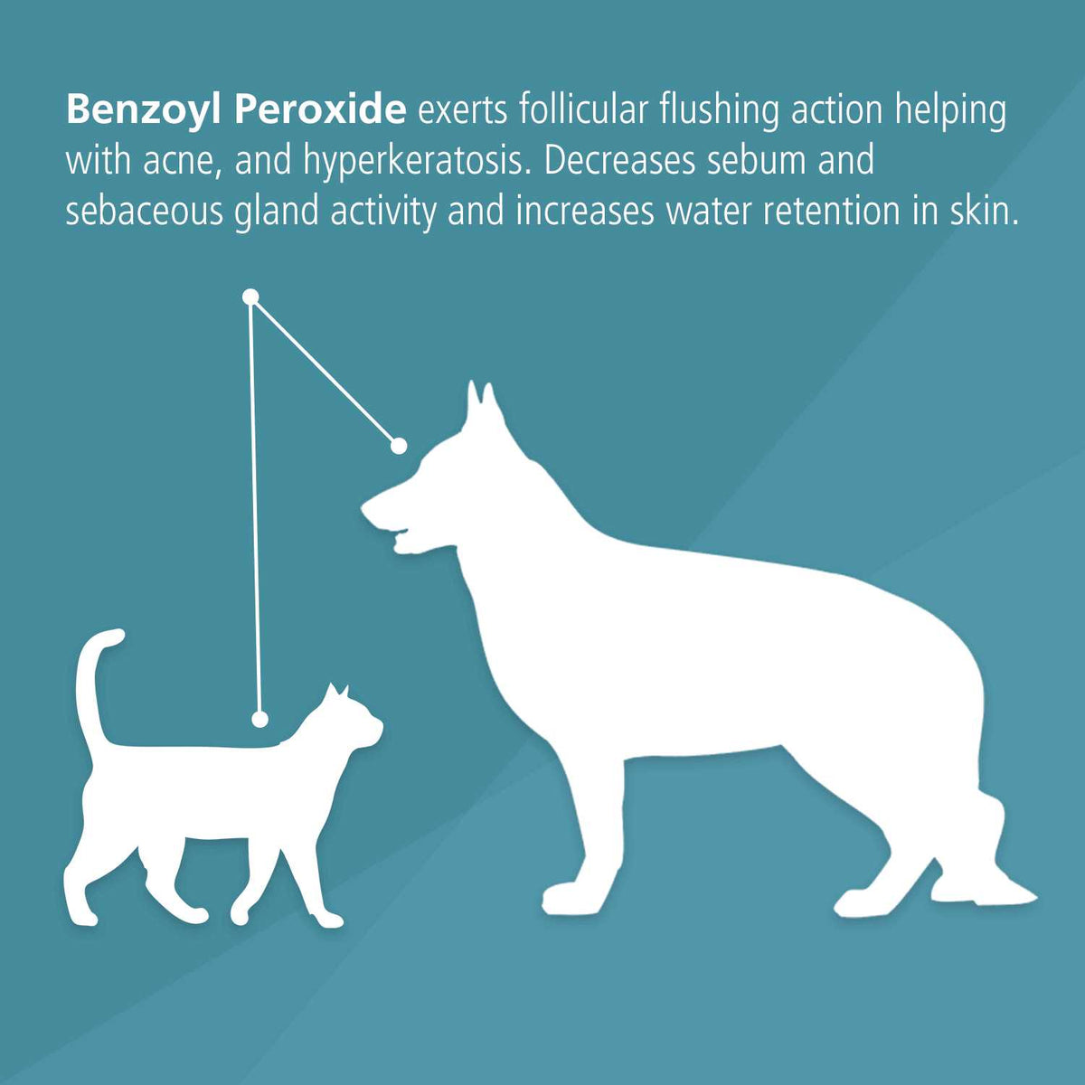 Benzoyl Peroxide Dog & Cat Shampoo M45164