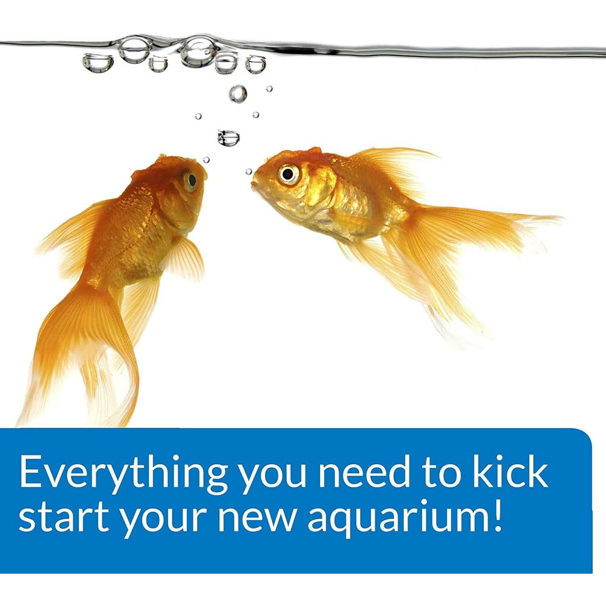 Aquarium Start Up Pack E53513