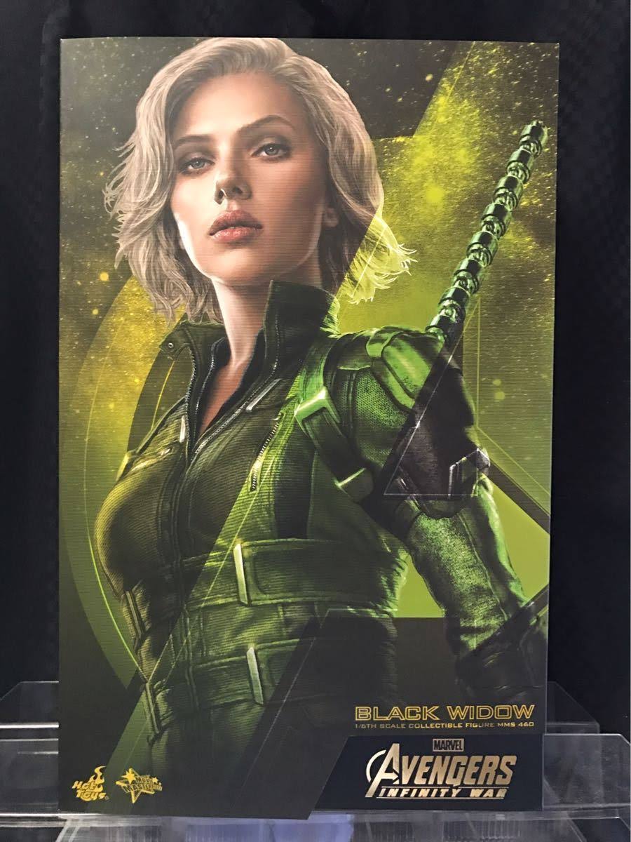 1/6 Scale Figure Black Widow L5881
