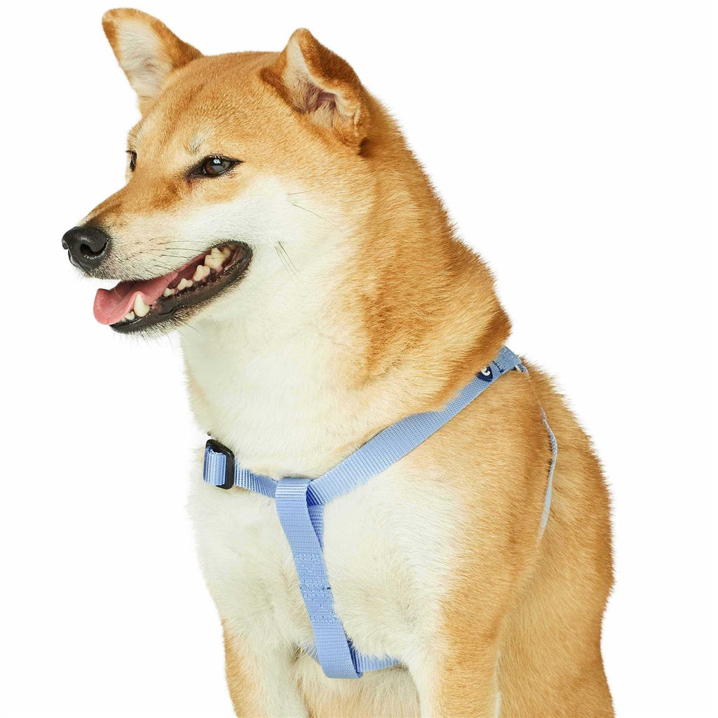Solid Nylon Step-In Dog Harness Z534253