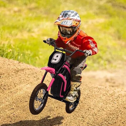 24V 350W Electric Dirt Bike T117