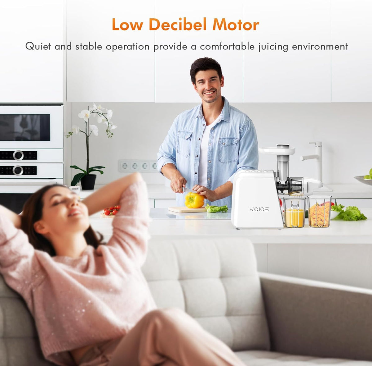 Cold Press Masticating Juicer with Two Speed Modes Y261