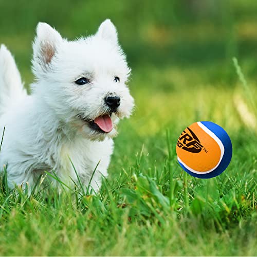 2.5 Inch Three Pack Dog Toy Tennis Ball with Squeaker R393