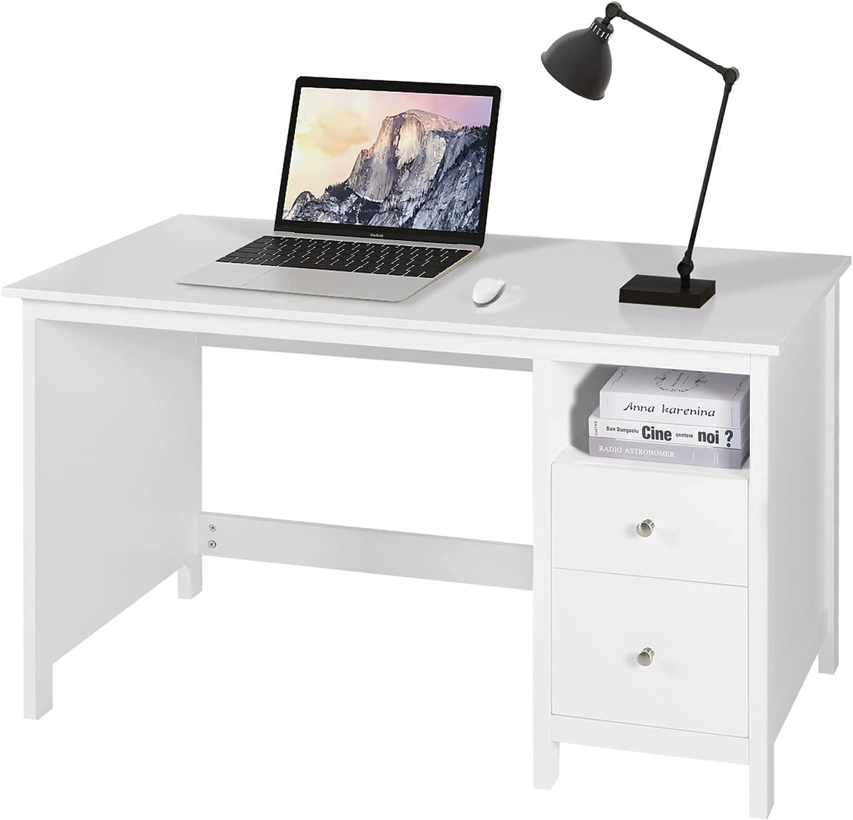 Black Wood Writing Desk with Storage Cabinet and Drawers N507