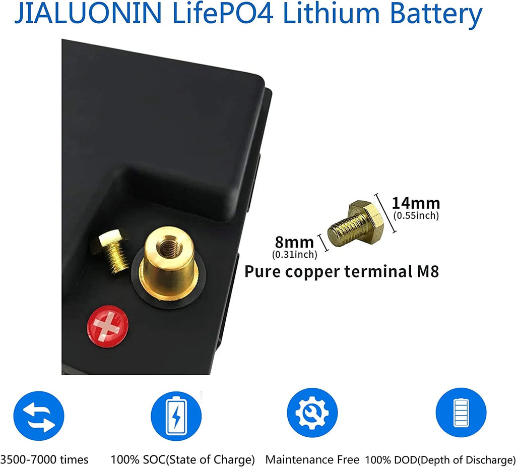 LiFePO4 Battery 12V 100Ah Lithium Iron Phosphate Battery with Built-in BMS O949980