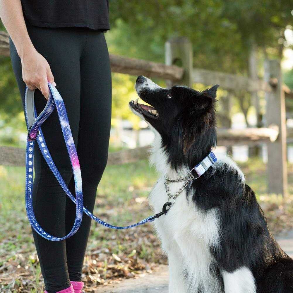 Patterned Reflective Chain Martingale Dog Collar H421999