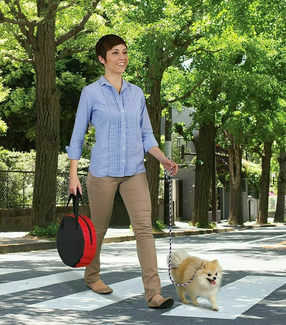 Pop Up Portable Pet Play Pen Mesh Tent H281