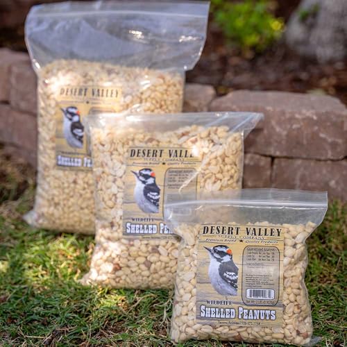 Shelled Peanuts Wild Bird Food 10 Pounds C6282