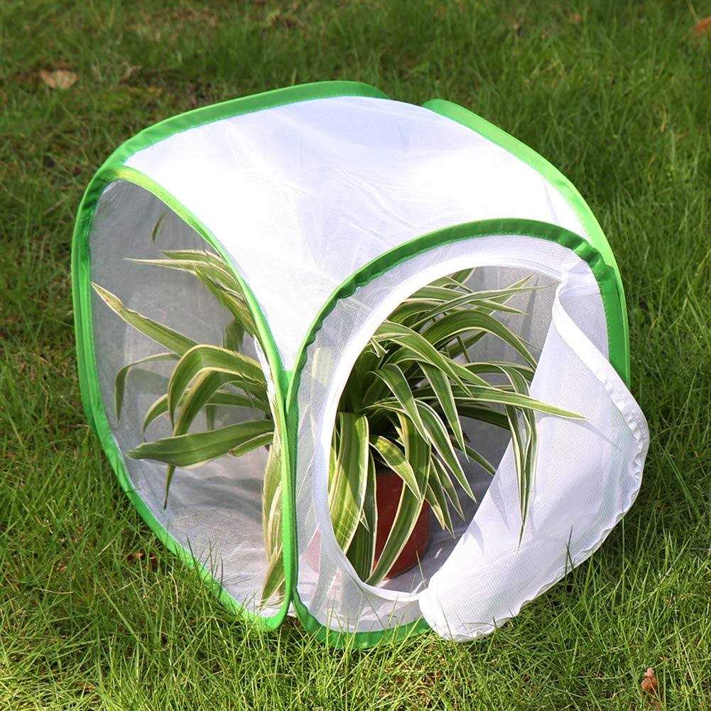 Pop-up Insect and Butterfly Habitat Cage Terrarium B992425