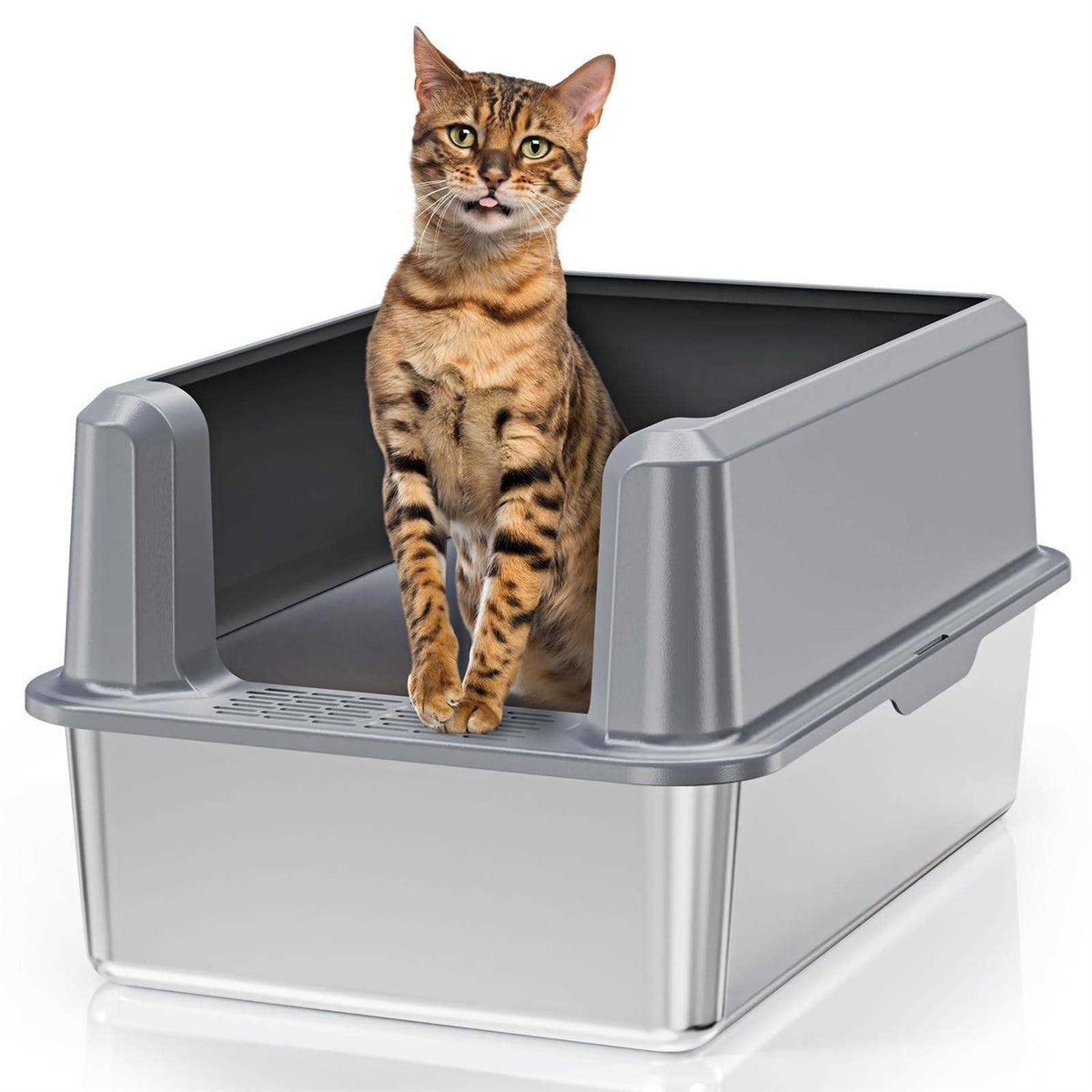Enclosed Stainless Steel Litter Box XL with High Side D8484