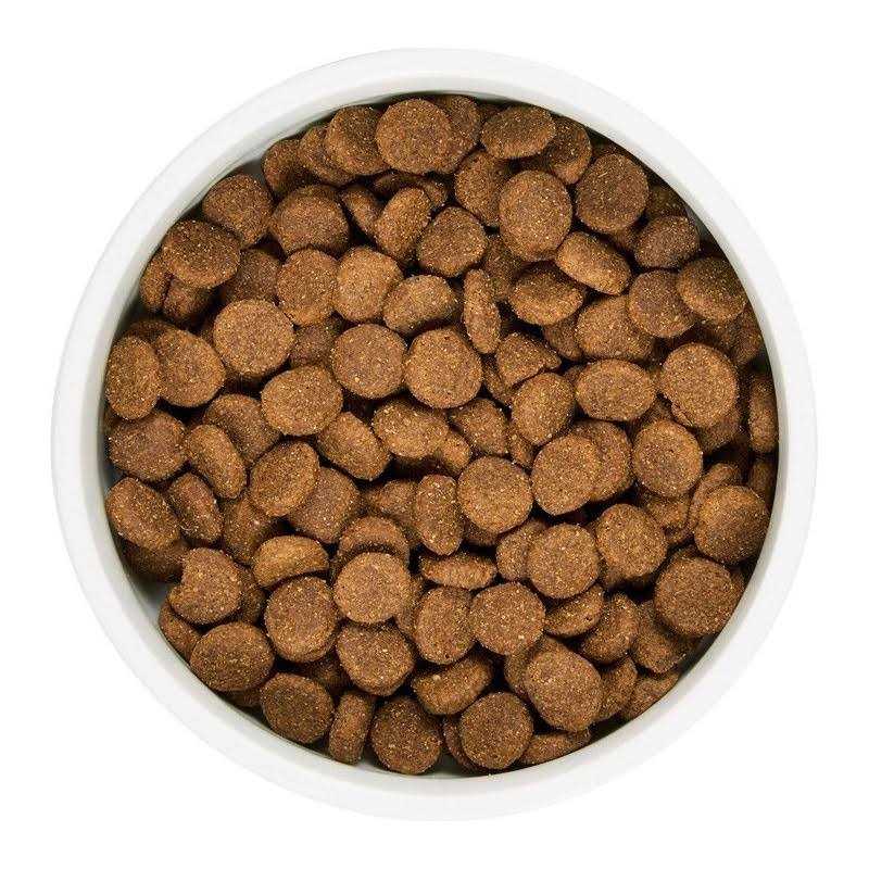 Grain Free Lamb and Lentil Dry Dog Food T32835