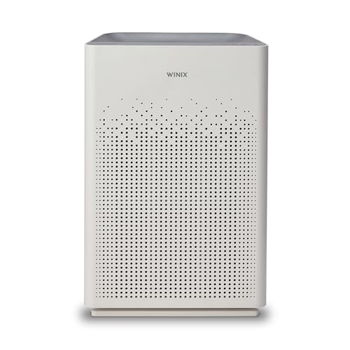Air Purifier with True HEPA Carbon Filter and Auto Mode X454425