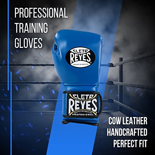 Training Boxing Gloves with Hook and Loop Closure L1980