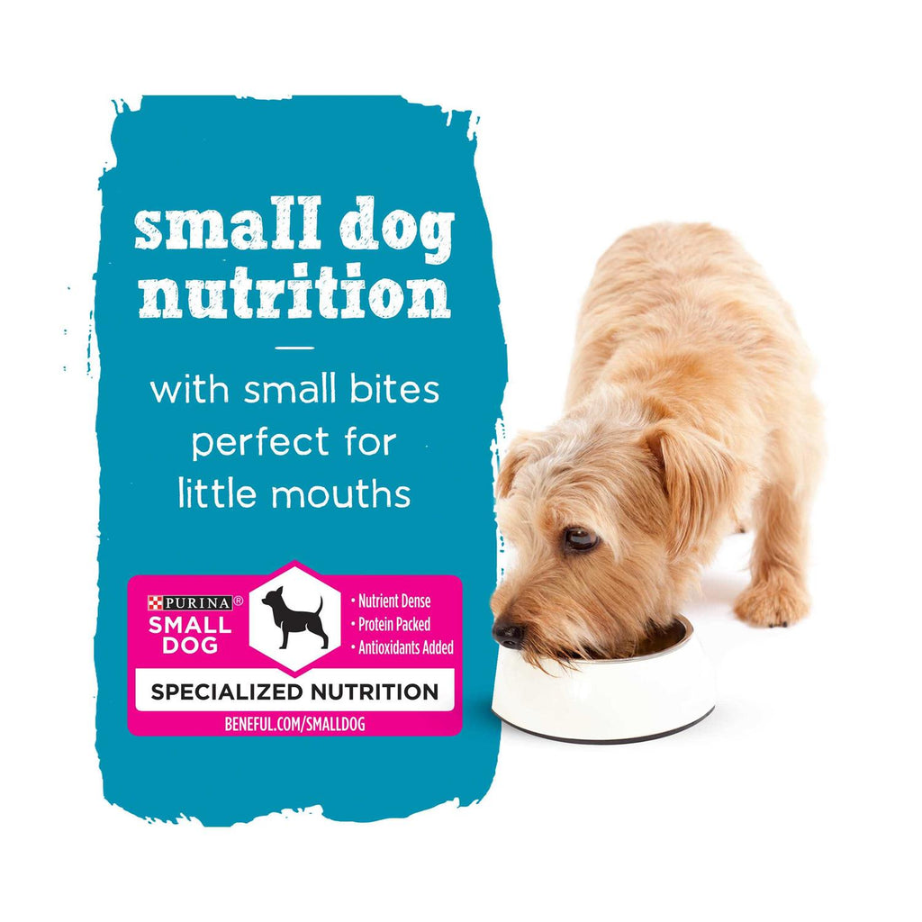 Wet Dog Food W941277