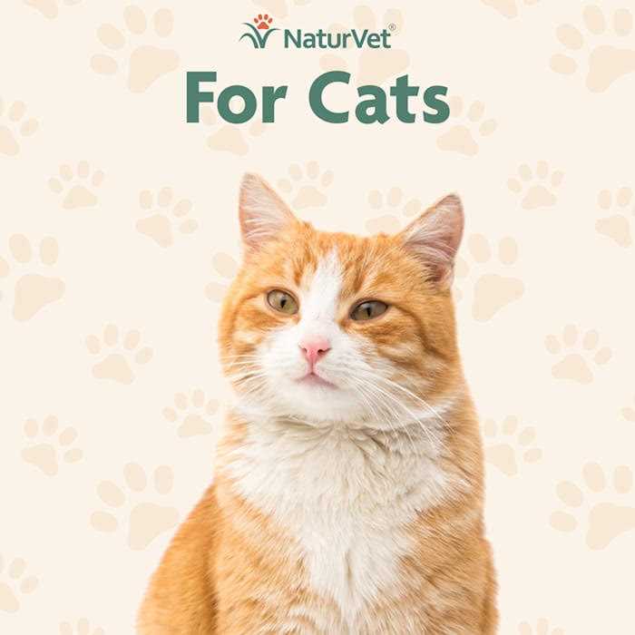 Skin & Coat Plus Omegas for Cats A819598