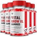 5 Pack Gummies 300 Gummies R65653