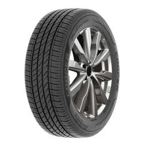 225/55R19 99V Tire L762