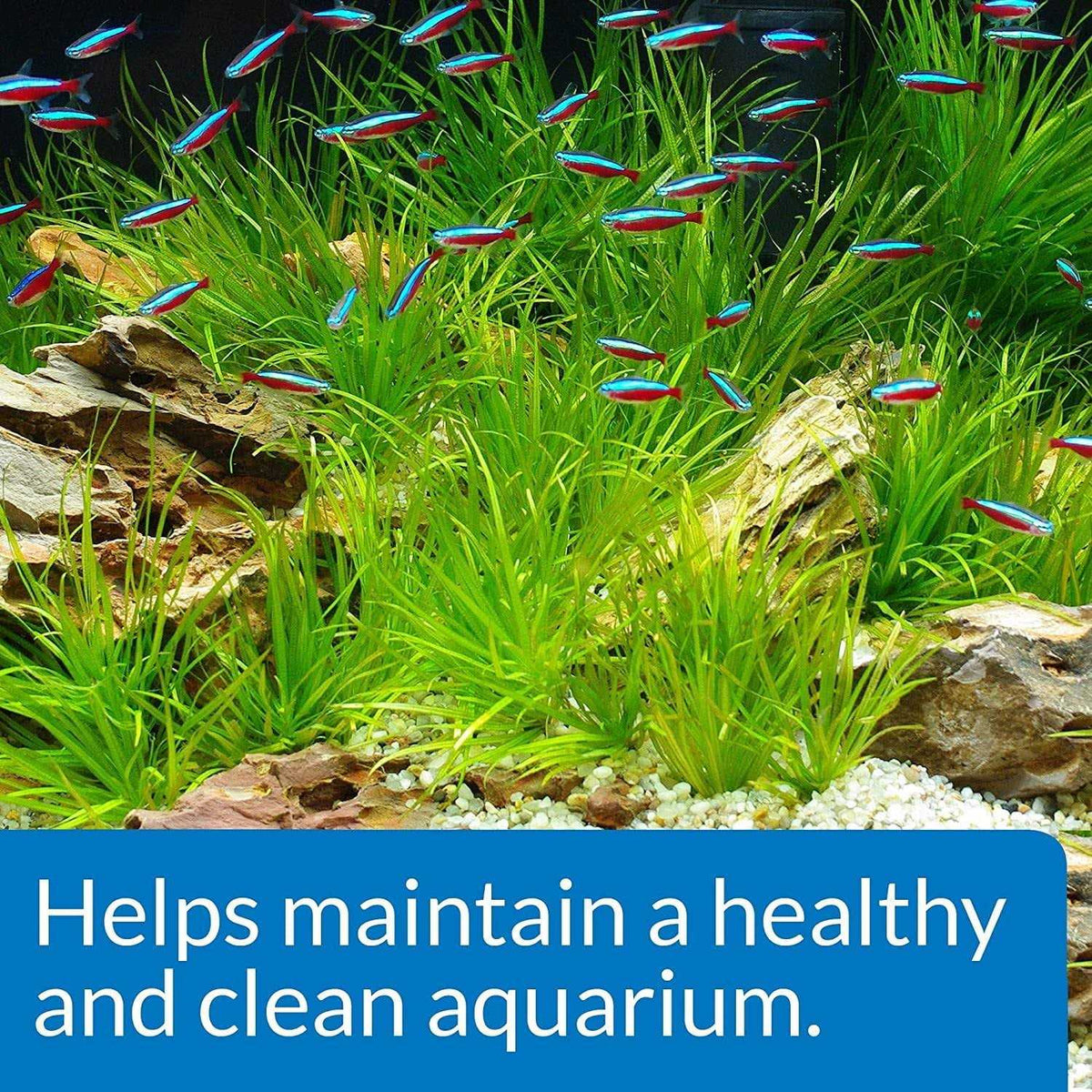 Aquarium Start Up Pack E53513
