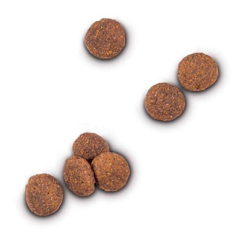 Grain Free Lamb and Lentil Dry Dog Food T32835