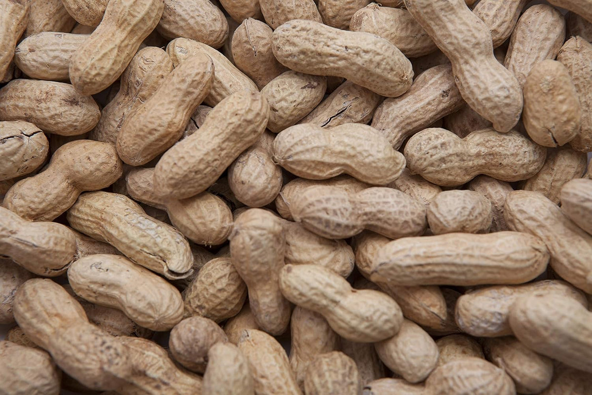 15 lbs in-Shell Peanuts Wild Bird Food Y673