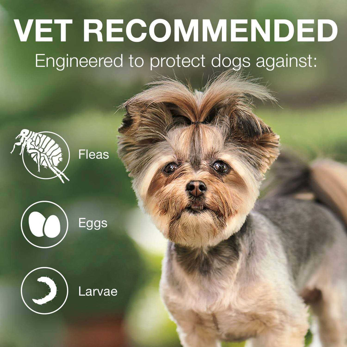 Advantage II for Dogs 3 K650472