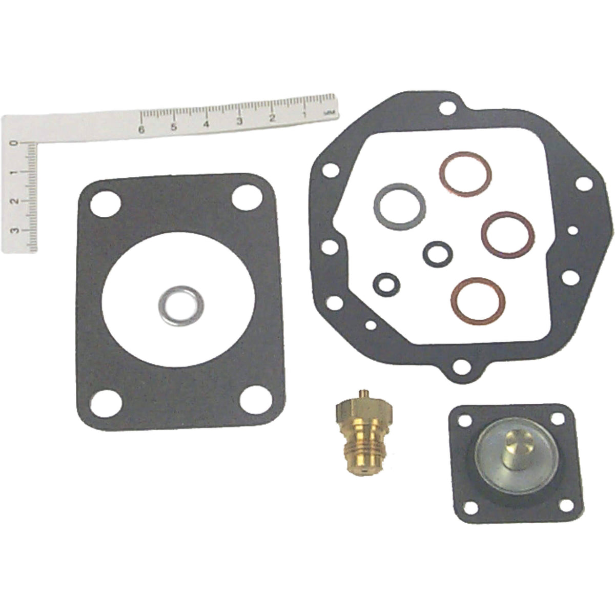 Carburetor Kit S5493