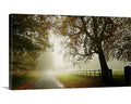 Photographic Print Canvas 12x22 H x 21x22 W x 1.5x22 D X52159