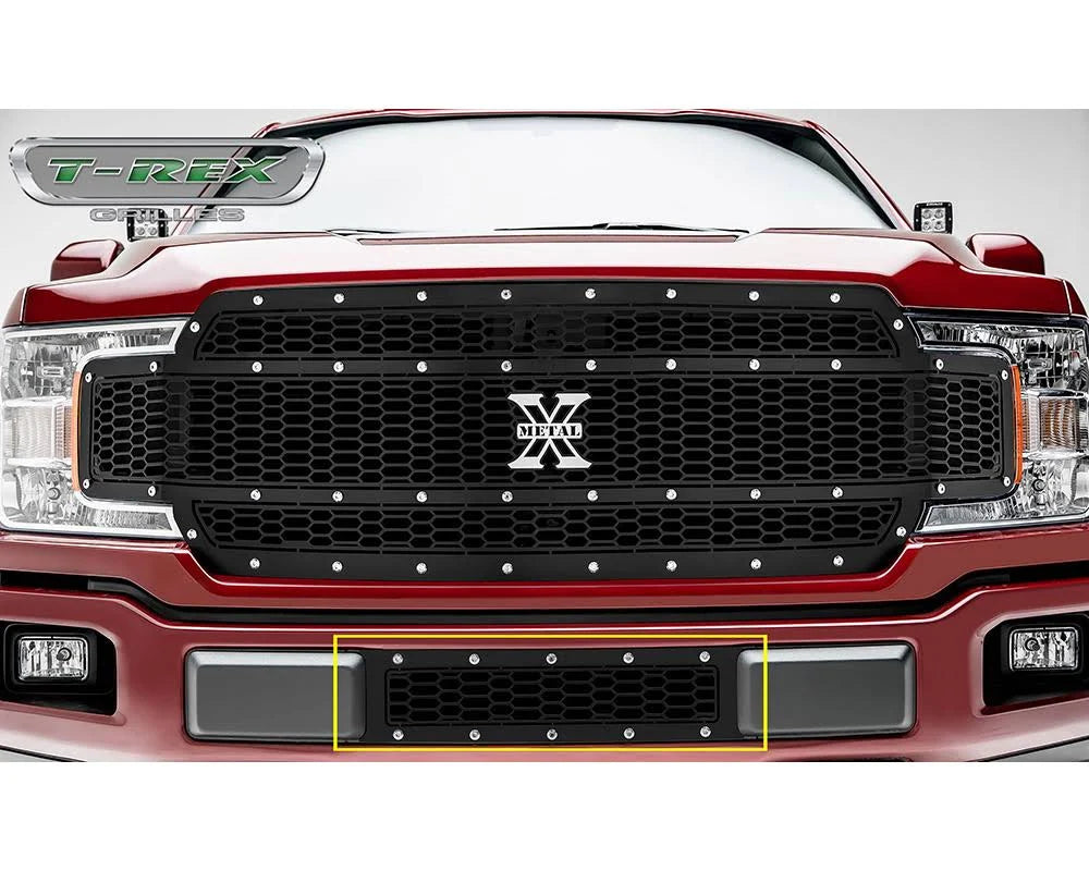 Bumper Grille R4785