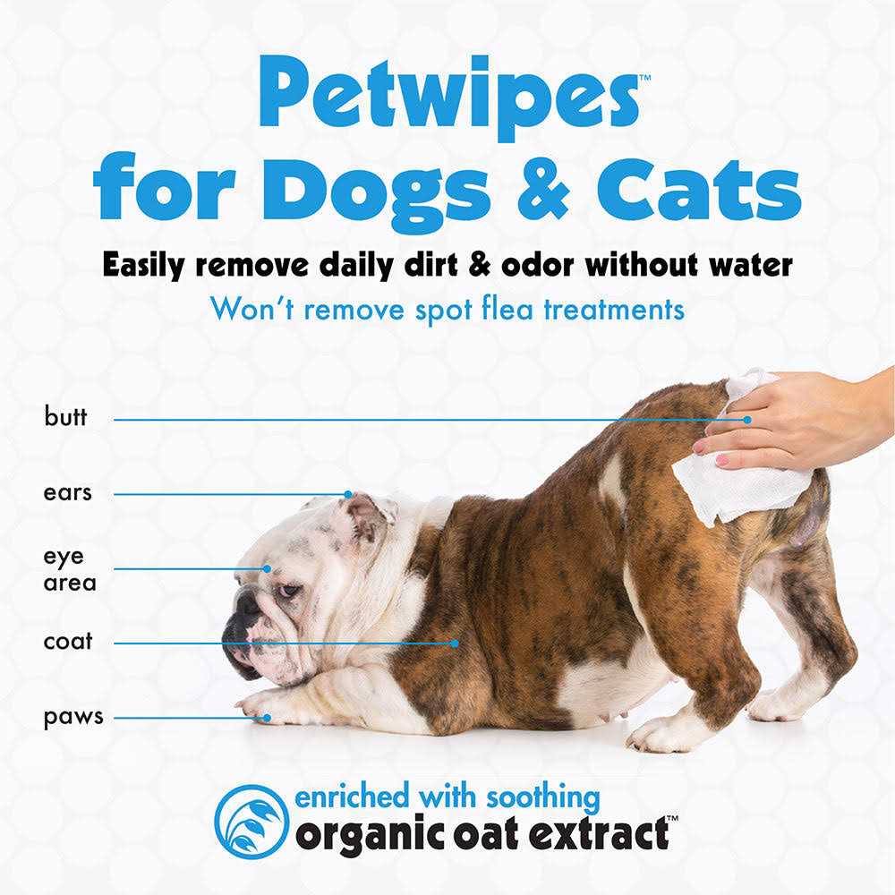 Vanilla Scented Dog & Cat Wipes G194170
