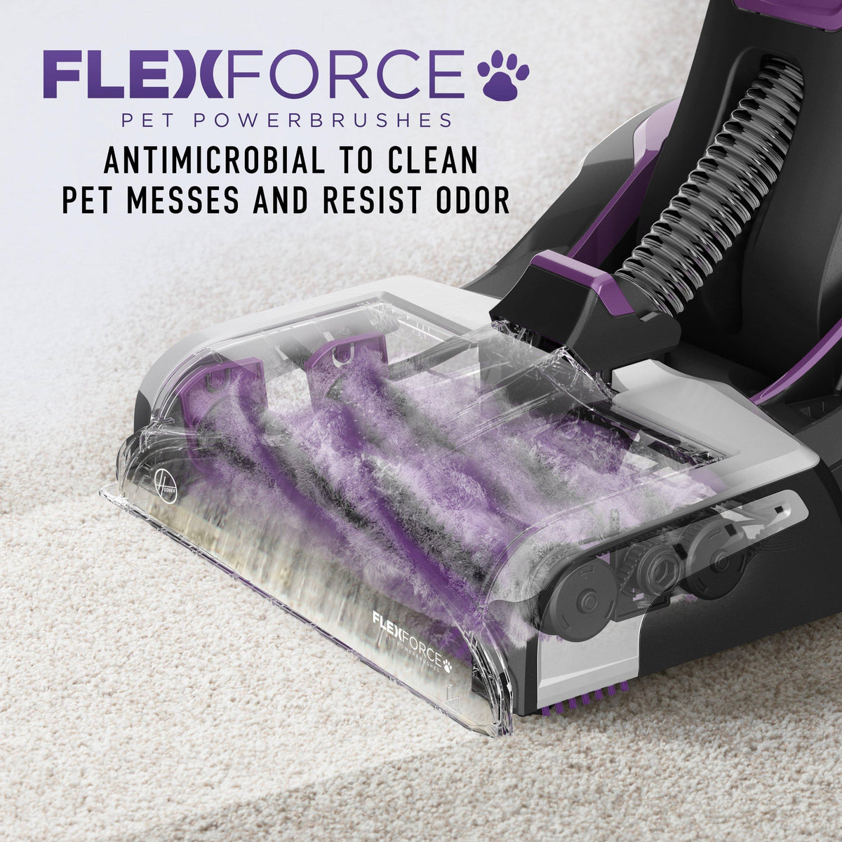 Purple Automatic Carpet Cleaner X19119