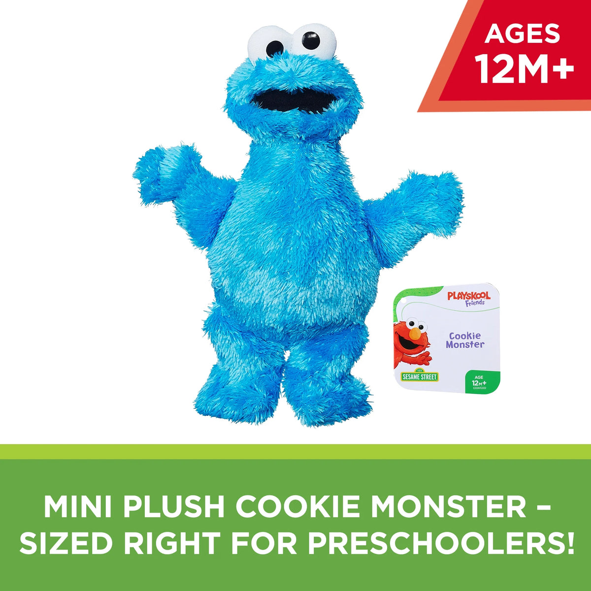 Cookie Monster Mini Plush P9065
