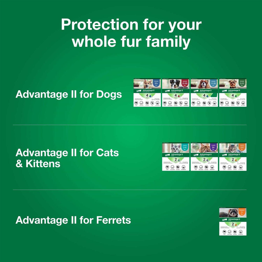 Advantage II for Dogs 3 K650472