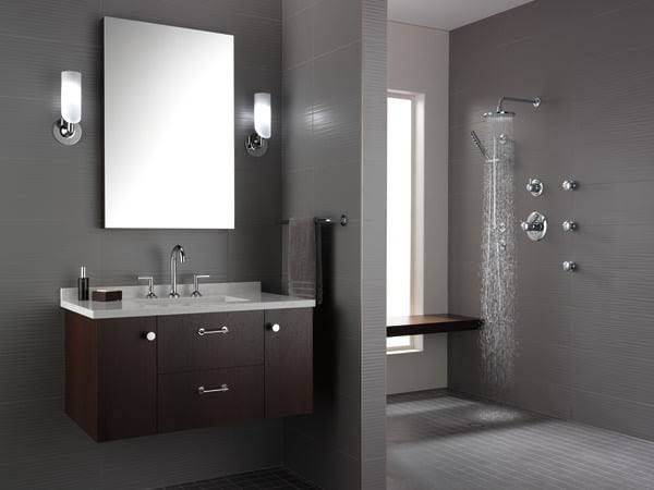 Slide Bar with Hand Shower L712