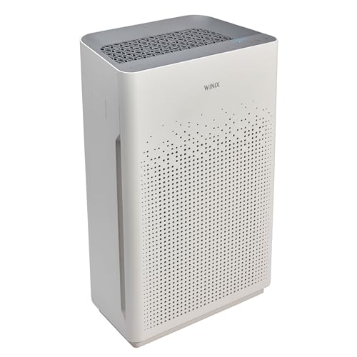 Air Purifier with True HEPA Carbon Filter and Auto Mode X454425