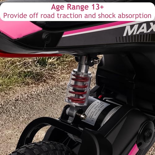 24V 350W Electric Dirt Bike T117