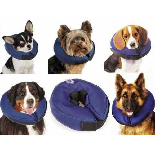 E Collar P361