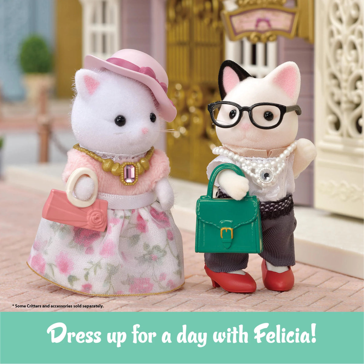Fashion Playset with Figure and Fashion Accessories C63022
