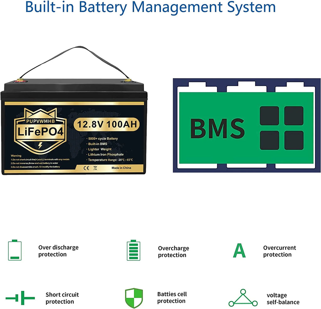 LiFePO4 Battery 12V 100Ah Lithium Iron Phosphate Battery with Built-in BMS O949980