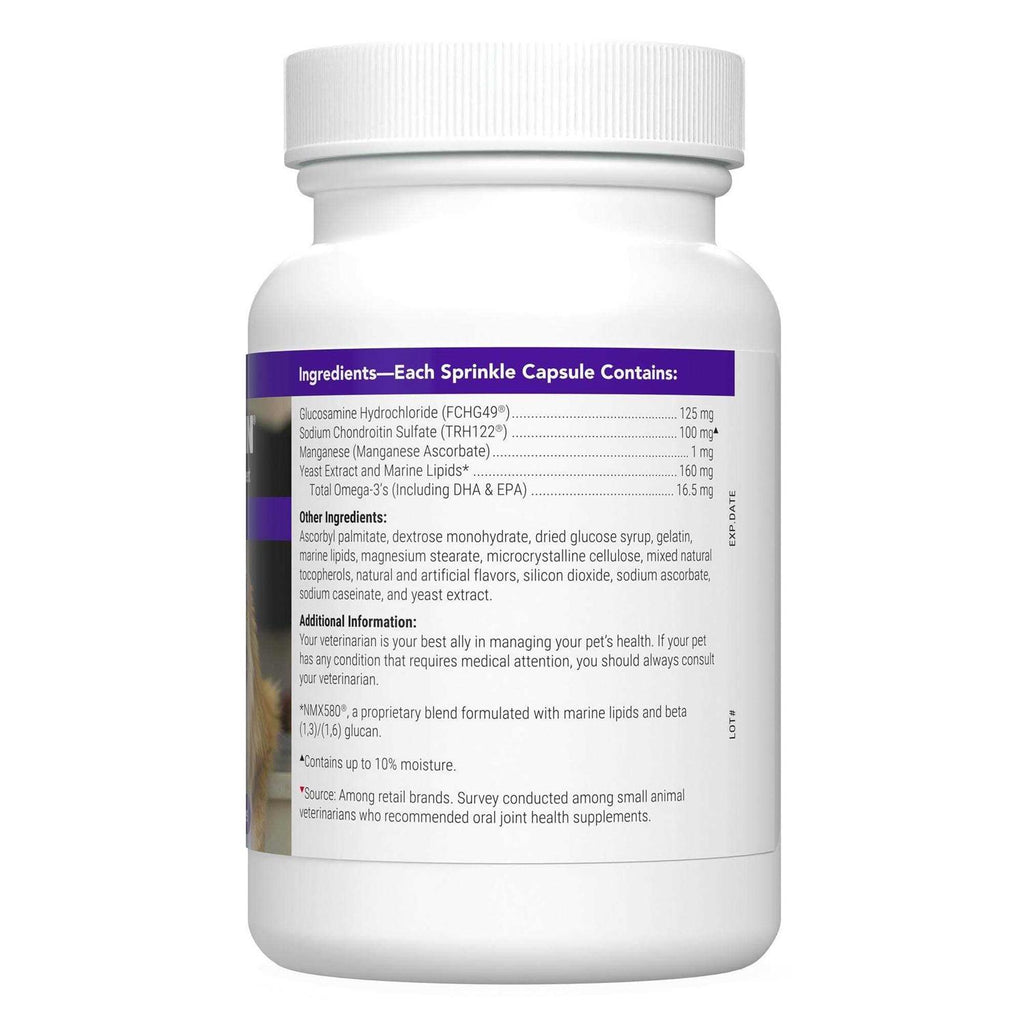 Joint Health Supplement for Senior Cats B20402